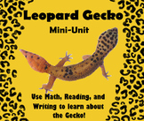 Leopard Gecko Distance Learning Lizard Biology Mini-unit P