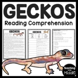 Geckos Informational Text Reading Comprehension Worksheet