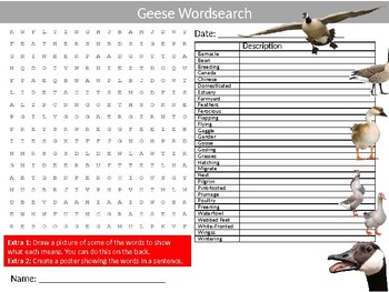 Geese Wordsearch Sheet Starter Activity Keywords Animals Birds by MIK ...