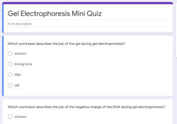 Preview of Gel Electrophoresis/DNA Fingerprinting Mini Quiz