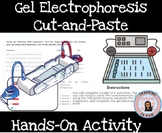 Gel Electrophoresis Biotechnology Hands-on Activity Princi