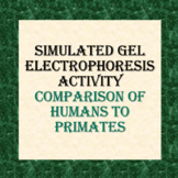 Gel Electrophoresis - Human Evolution