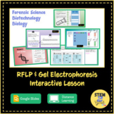 Gel Electrophoresis Interactive Biotechnology Lesson DISTA
