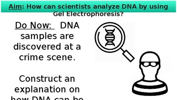 Preview of Gel Electrophoresis Powerpoint