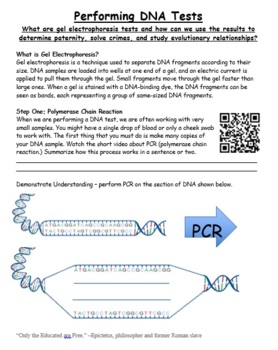 Preview of How to Perform DNA tests- PCR and Gel Electrophoresis