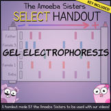 Gel Electrophoresis SELECT Recap Handout + Answer Key by A