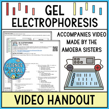 Preview of Gel Electrophoresis Amoeba Sisters Video Handout