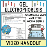 Gel Electrophoresis Amoeba Sisters Video Handout