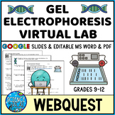 Gel Electrophoresis Virtual Lab Webquest / Biotechnology Webquest