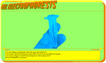 Preview of Gel Electrophoresis Virtual Lab Worksheet