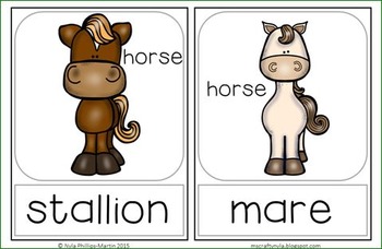 Gender Nouns: Animals - Memory Game by Nyla's Crafty Teaching | TPT