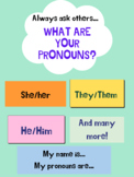 Gender Pronouns Poster