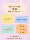 Gender Pronouns Poster