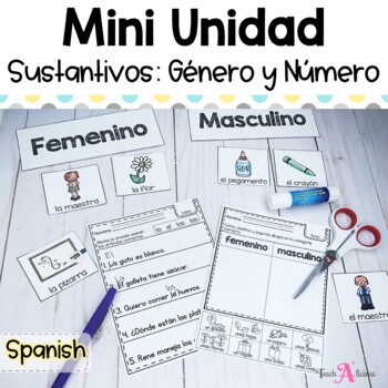 Preview of Género y número de los sustantivos | Gender of Nouns in Spanish | Mini Unit