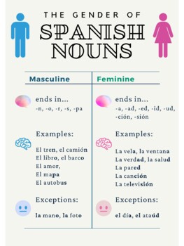 Gender of Spanish Nouns by Jensine Canales | Teachers Pay Teachers