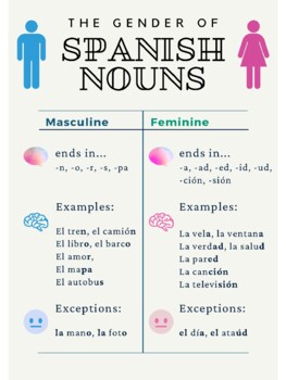 NEW Foreign Language Educational POSTER Spanish Gender 