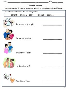 genders worksheets for grades 1 2 and 3 by rituparna reddi tpt