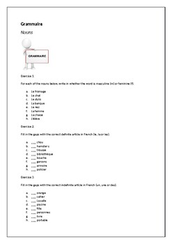 genders of nouns definite and indefinite articles in french tpt