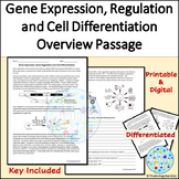 Gene Expression Gene Regulation Cell Differentiation Intro