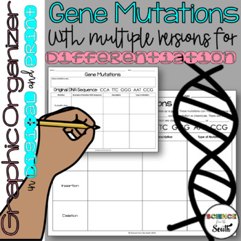 Preview of Gene Mutations Graphic Organizer for Notes or Assessment in Print and Digital
