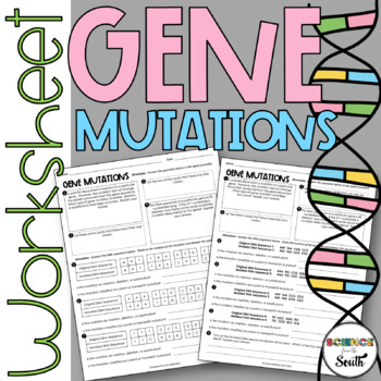 Preview of Gene Mutations Worksheet for Identifying Insertions Substitutions and Deletions