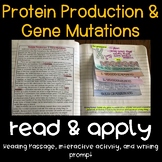 Gene Mutations and Protein Production Read and Apply (NGSS