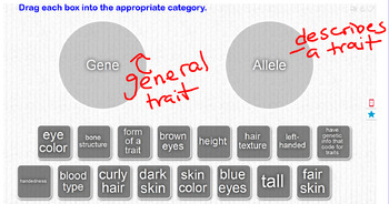 Preview of Gene Vs. Allele Sort (guided practice)