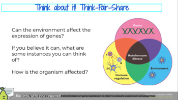 Preview of Gene expression and the environment google slides lesson