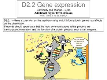 Preview of Gene expression kit for IB DP biology D2.2. Presentation and workbook.