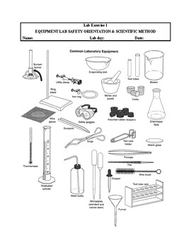 General Biology 1 Lab Manual by BioTube | TPT