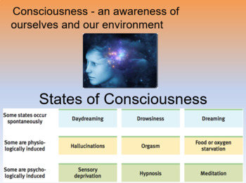 Preview of General High School Psychology - Unit 5 States of Consciousness