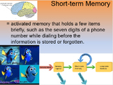 General High School Psychology - Unit 7 Memory and Learning