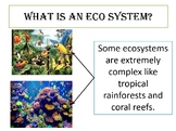 General Science 3 of 7 - Ecosystems