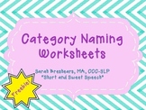 Category Naming Worksheets
