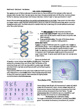 Preview of Genes, DNA, Chromosomes Article