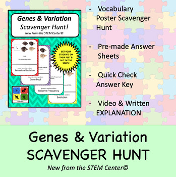 Preview of Genes & Variation - Scavenger Hunt Activity