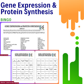 Preview of Genetic Bingo: Exploring Gene Expression & Protein Synthesis