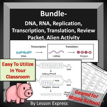 Preview of DNA and RNA Bundle -- Replication, Transcription and Translation