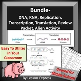 DNA and RNA Bundle -- Replication, Transcription and Translation