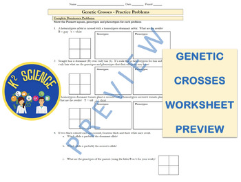 Preview of Genetic Crosses Worksheet Packet - Punnett Squares, Dihybrids, & Sex-Linked etc.