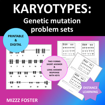 Preview of Genetic Disorders / Mutations: Karyotype Problem Worksheets Printable & Digital