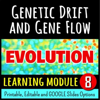 Preview of Genetic Drift & Gene Flow - Evolution Learning Module 8 (PDF & Google Slides)