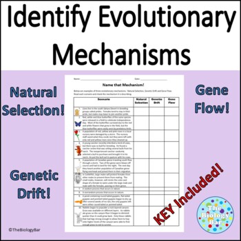 Preview of Genetic Drift Gene Flow and Natural Selection Scenarios Worksheet