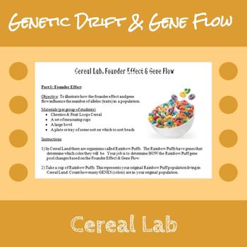 Preview of Genetic Drift and Gene Flow Cereal Lab