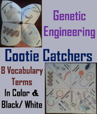 Genetic Engineering Activity: Cootie Catcher (Genetics and