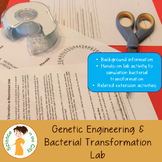 Genetic Engineering and Bacterial Transformation Lab Activity