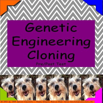 Preview of Genetic Engineering - Cloning Biology Life Science Special Education Quiz