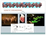 Genetic Engineering PowerPoint (Gene technology, GMO) Editable