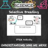 Genetic Engineering:  Selective Breeding Simulation Activity