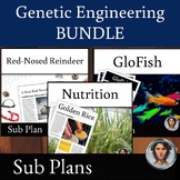 Genetic Engineering Reading Comprehension Sub Plan Article BUNDLE